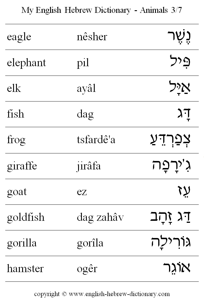 English to Hebrew -- Animals Vocabulary: eagle, elephant, elk, fish, frog, giraffe, goat, goldfish, gorilla, hamster