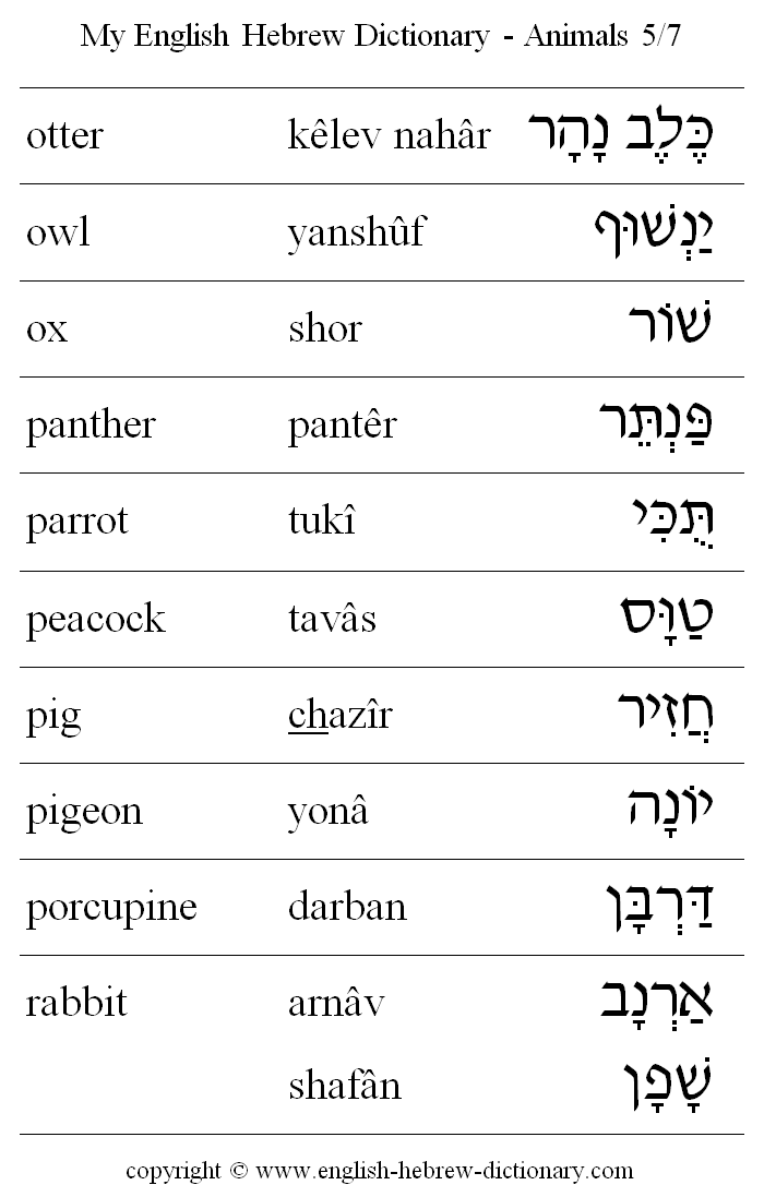 English to Hebrew -- Animals Vocabulary: otter, owl, ox, panther, parrot, peacock, pig, pigeon, porcupine, rabbit