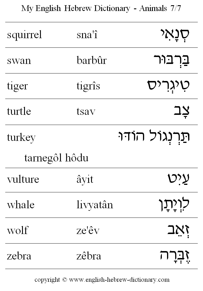 English to Hebrew -- Animals Vocabulary: squirrel, swan, tiger, turtle, turkey, vulture, whale, wolf, zebra