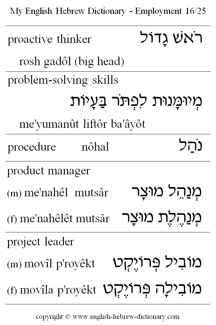English to Hebrew -- Employment Vocabulary: proactive thinker, problem-solving skills, procedure, product manager, project leader