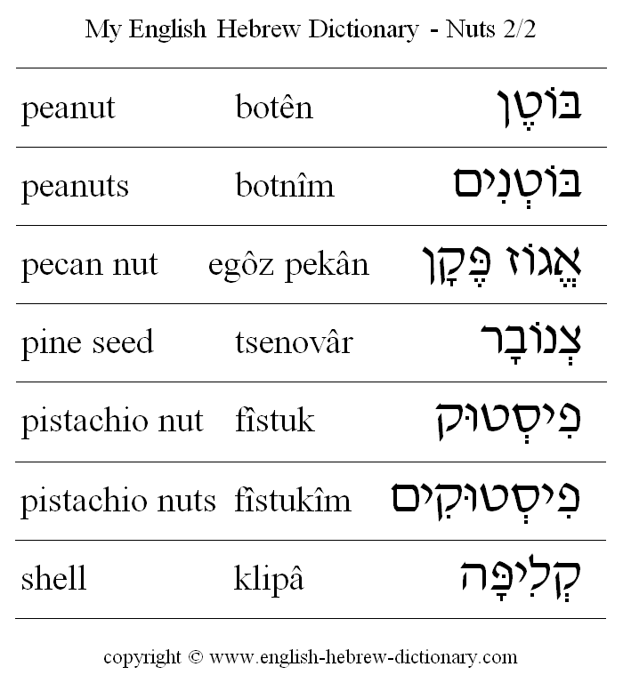 English to Hebrew -- Food - Nuts Vocabulary: pecan nut, pine seed, pistachio nut, pistachio nuts, shell, walnut