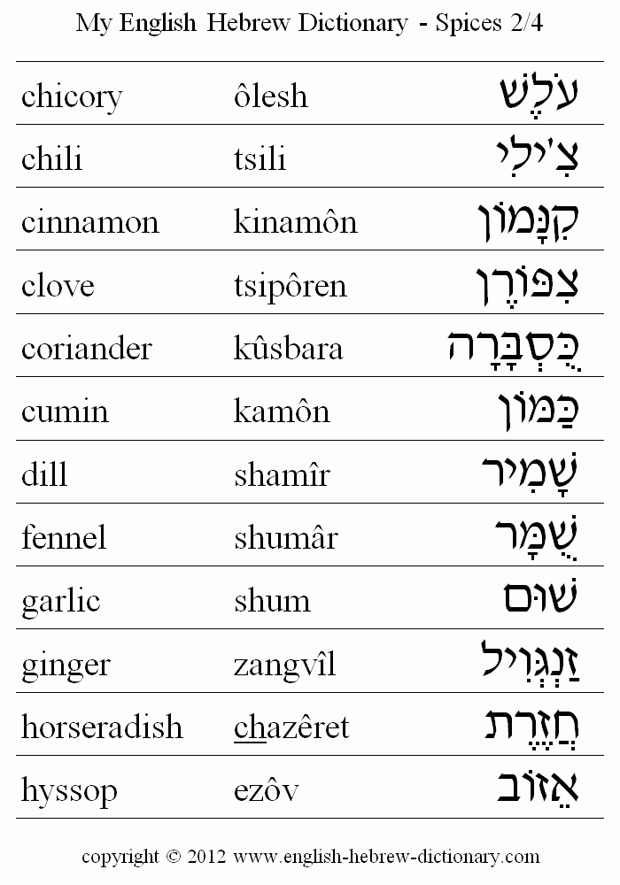 English to Hebrew -- Food - Spices Vocabulary: chicory, chili, cinnamon, clove, coriander, cumin, dill, fennel, garlic, ginger, horseradish, hyssop