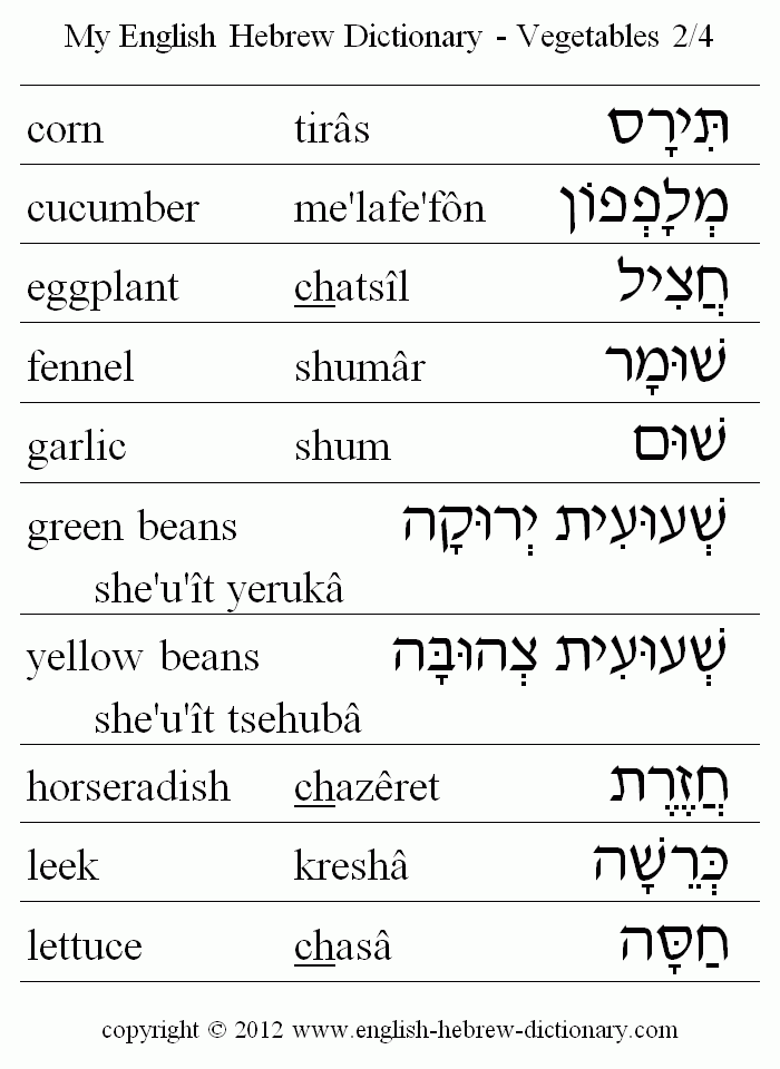English to Hebrew -- Food - Vegetables Vocabulary: corn, cucumber, eggplant, fennel, garlic, green beans, yellow beans, horseradish, leek, lettuce