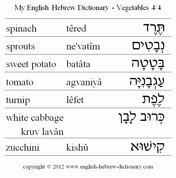 English to Hebrew -- Food - Vegetables Vocabulary: spinach, sprouts, sweet potato, tomato, turnip, white cabbage, zucchini