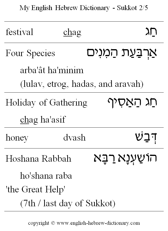English to Hebrew -- Sukkot Vocabulary: festival, four species, holiday of gathering, honey, Hoshana Rabbah
