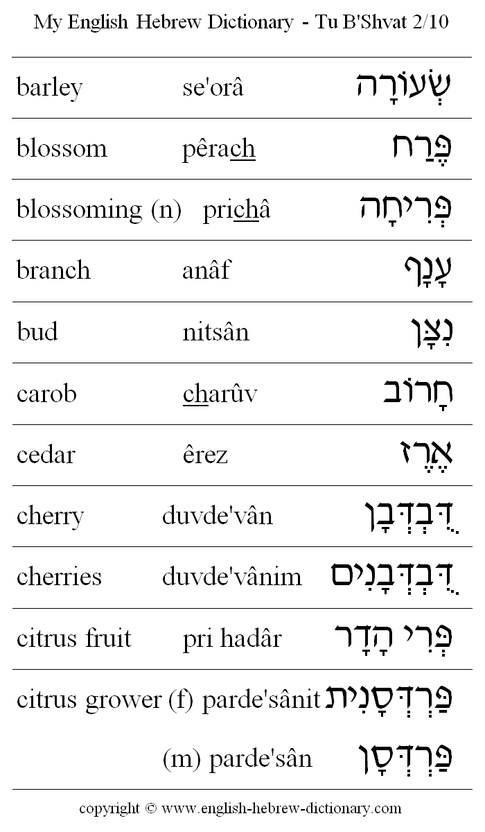 English to Hebrew -- Tu B'Shvat Vocabulary: barley, blossom, blossoming, branch, bud, carob, cedar, cherry, cherries, citrus fruit, citrus grower