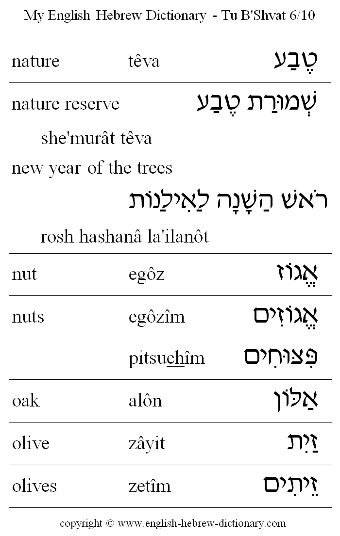 English to Hebrew -- Tu B'Shvat Vocabulary: nature, nature reserve, new year of the trees, nut, nuts, oak, olive, olives