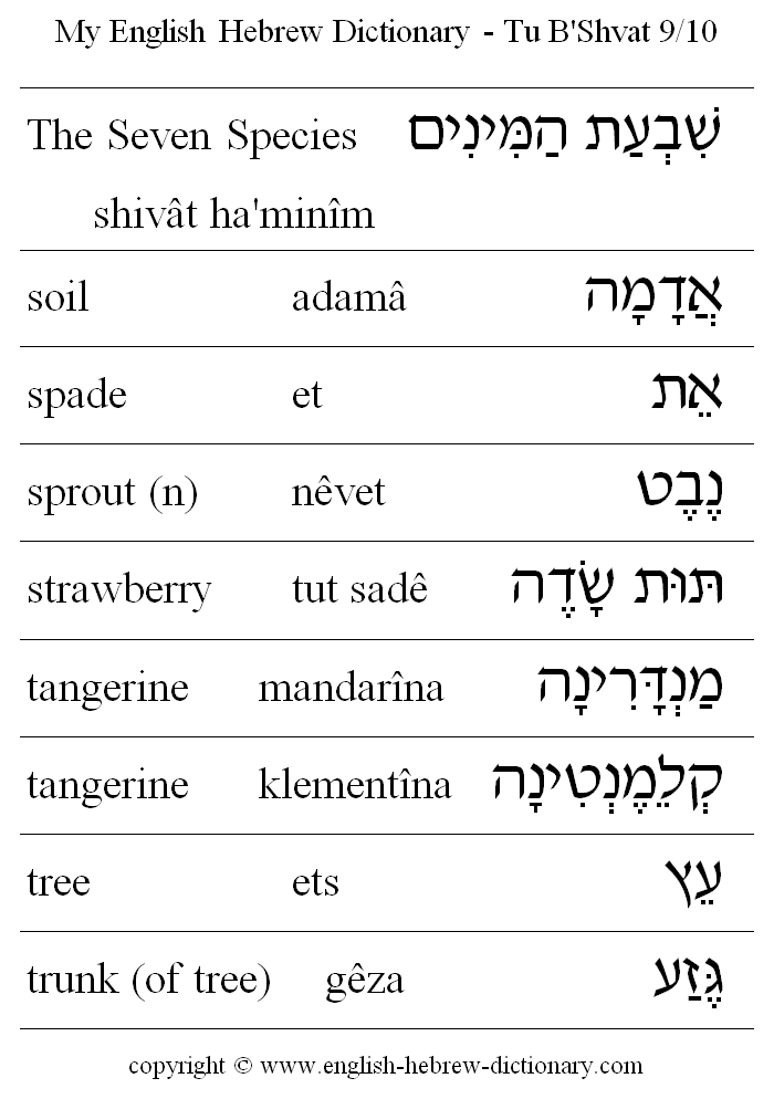 English to Hebrew -- Tu B'Shvat Vocabulary: The Seven Species, soil, spade, sprout, strawberry, tangerine, tree, trunk (of tree)
